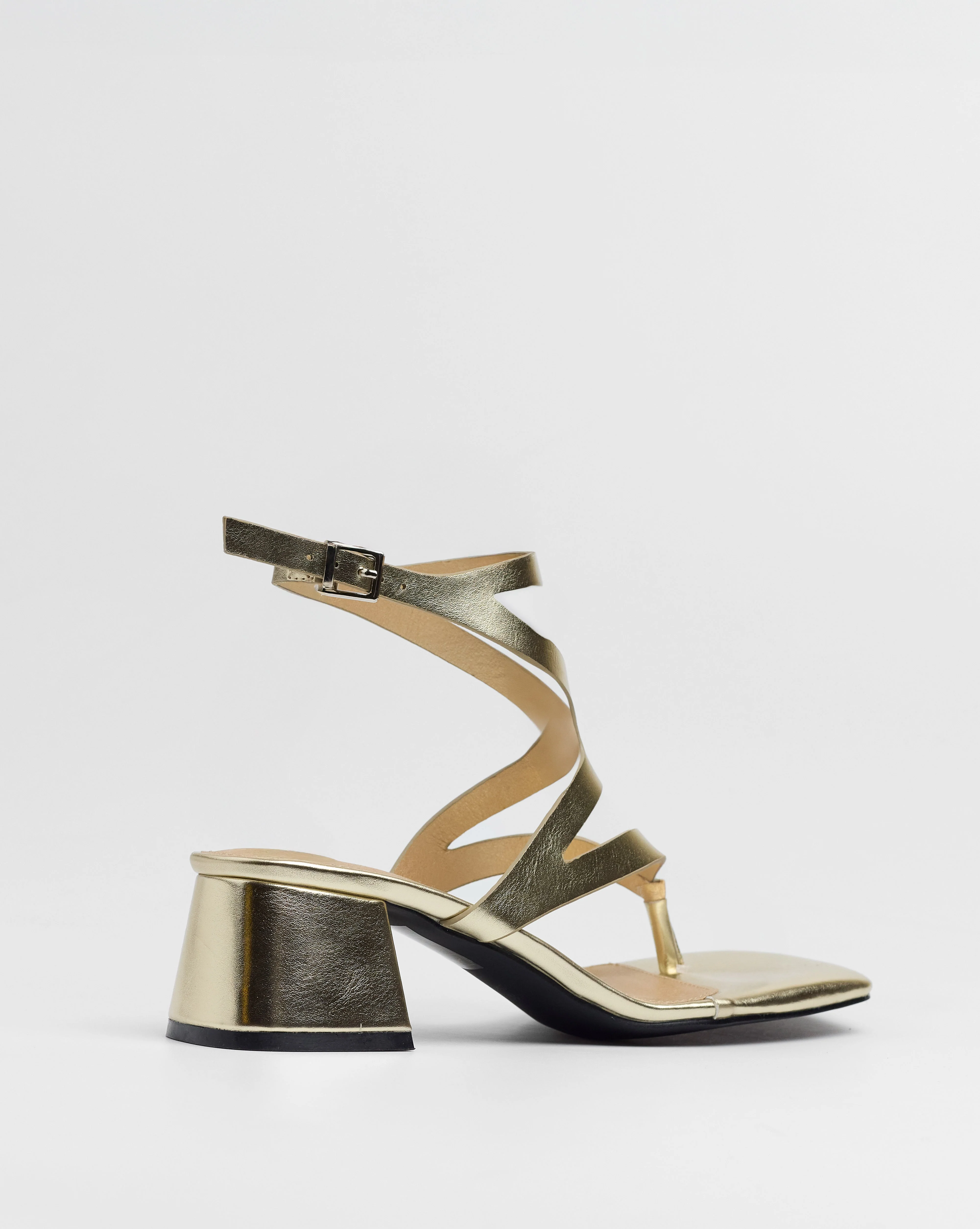 MOREY DORADO - Image 12