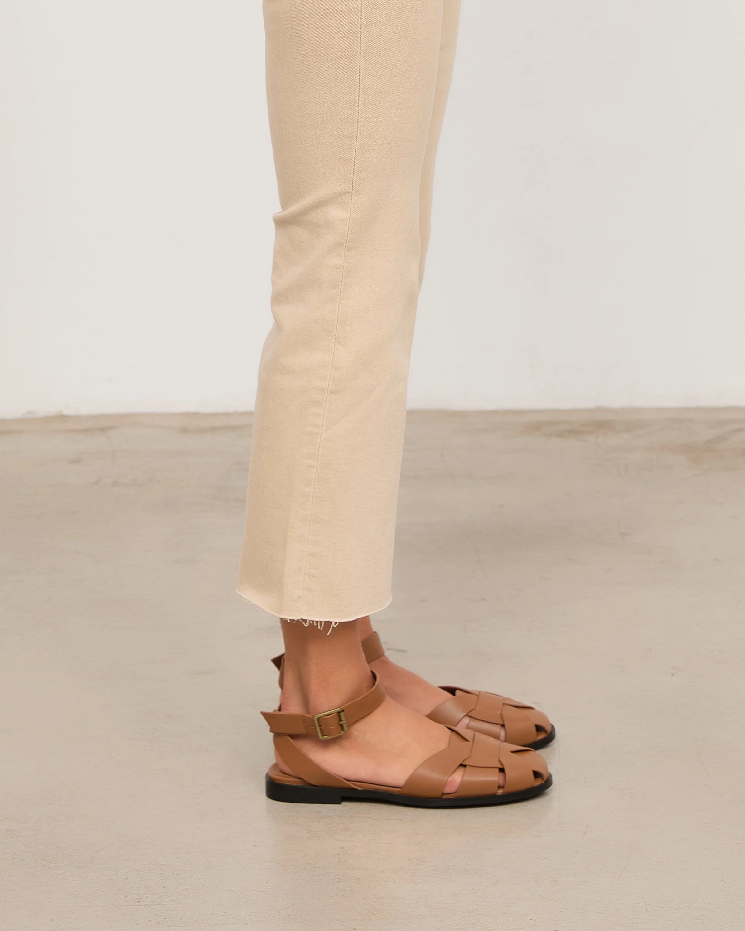 ODD CAMEL - Image 2