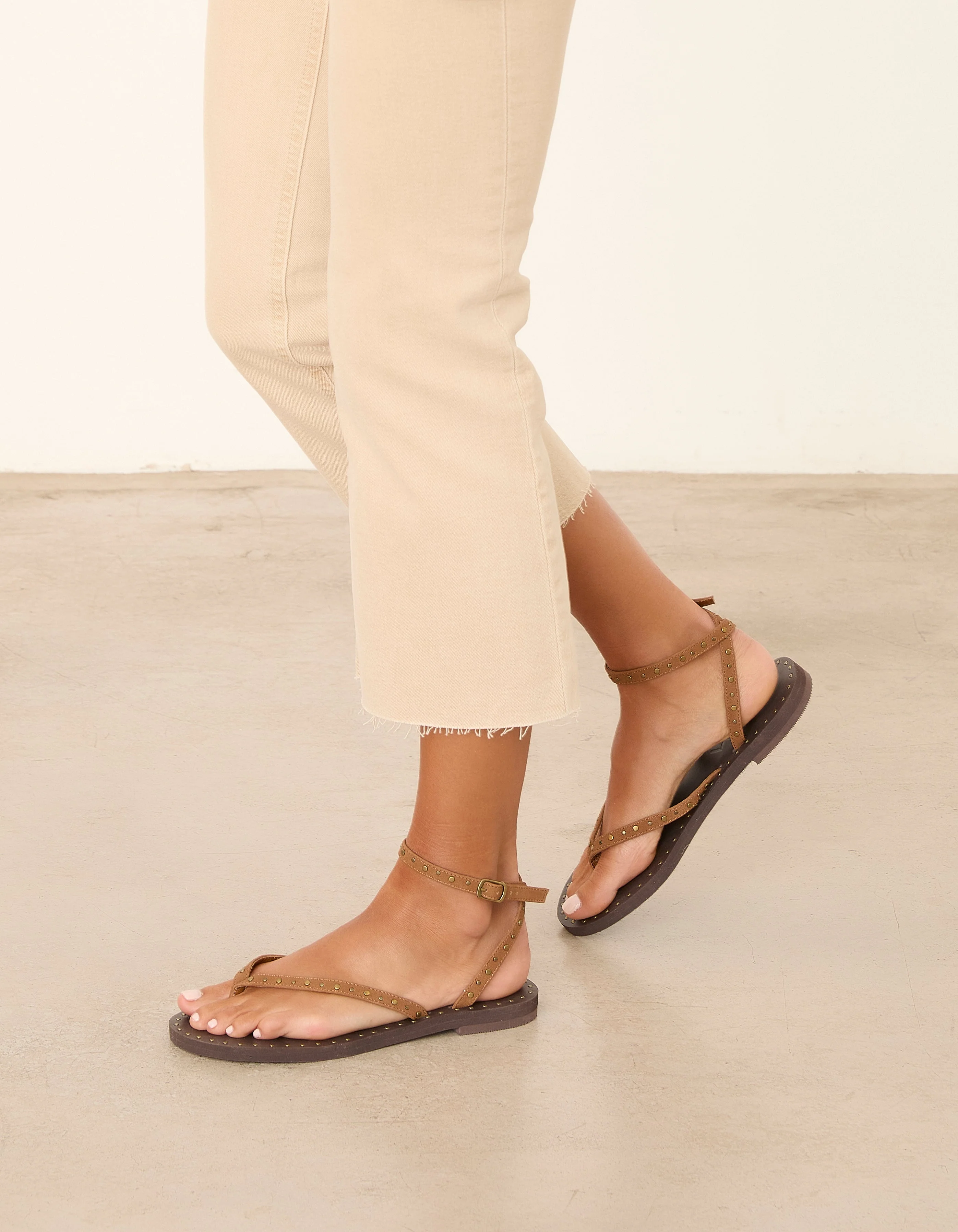 TEN CAMEL - Image 2